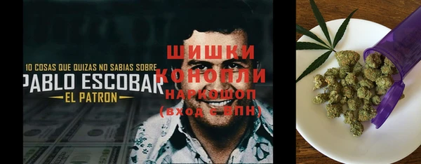 молекула духа Киров